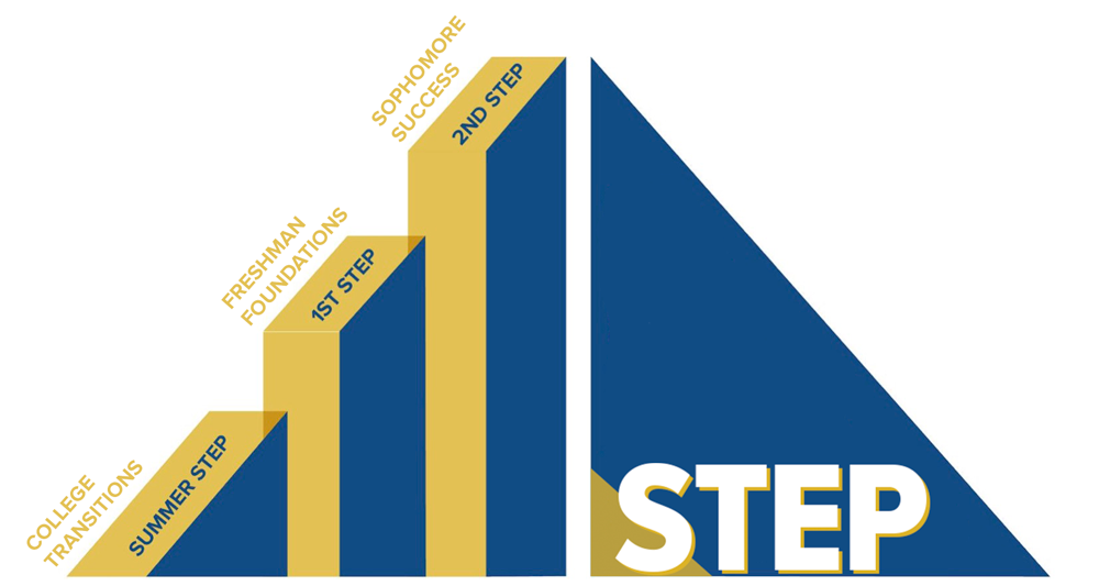 STEP program model